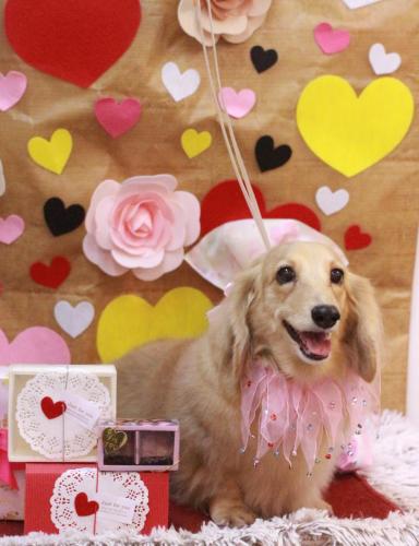 20230203モモちゃん